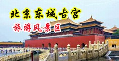 男人日女人骚屄视频中国北京-东城古宫旅游风景区